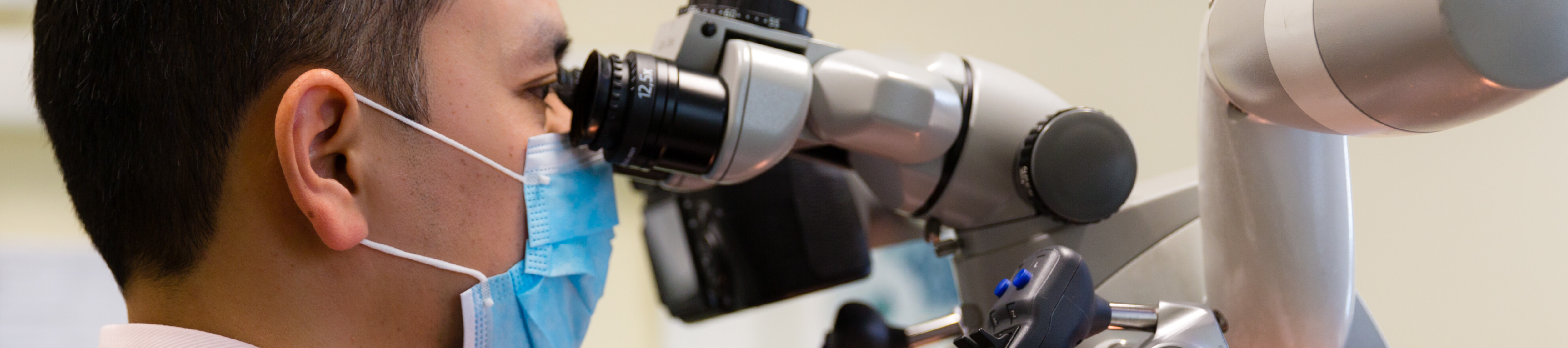 Endodontist Melbourne Smile Solutions